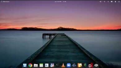 Cómo descargar Mundo Gaturro para Linux