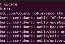 actualización-ubuntu-24.04