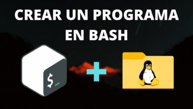 🖥️ Programación de scripts BASH | Cree scripts para automatizar carpetas en LINUX 🐧