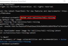 ¿Cómo ejecutar Kali Linux en Docker?