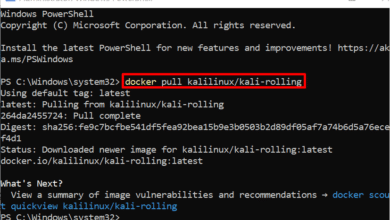 ¿Cómo ejecutar Kali Linux en Docker?