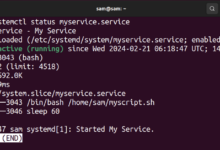 Cómo eliminar archivos de servicio Systemd
