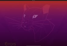 Elimina completamente Windows 11 e instala Ubuntu