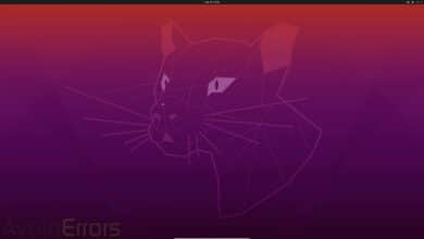 Elimina completamente Windows 11 e instala Ubuntu