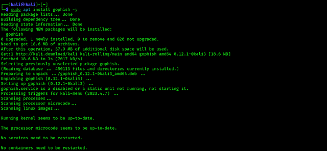 Instalar Gophish en Kali Linux