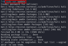 ¿Cómo usar Hashcat en Kali Linux?