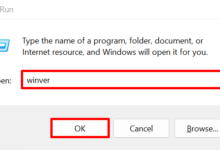 Cómo configurar Kali en WSL