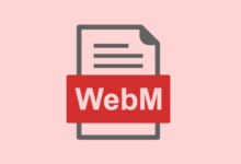 Cómo convertir fácilmente vídeos WebM a cualquier formato en Linux