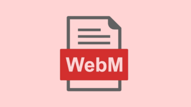 Cómo convertir fácilmente vídeos WebM a cualquier formato en Linux