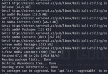 Cómo proteger Kali Linux