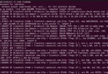 Cómo utilizar Tcpdump para capturar y analizar paquetes