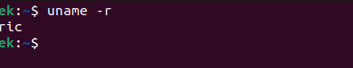 Cómo verificar la versión principal en Linux