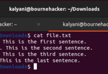 Editor de secuencias (SED): conceptos básicos