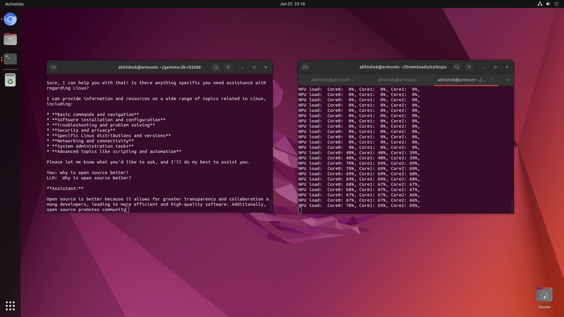 LLM ejecutándose en Rockchip NPU
