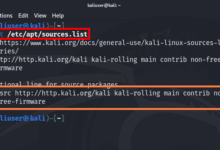 ¿Cómo actualizar Kali Linux?