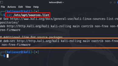 ¿Cómo actualizar Kali Linux?
