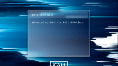 ¿Cómo restablecer la contraseña olvidada de Kali?