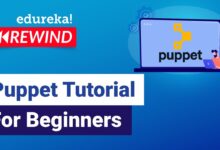 ¿Qué es Puppet? ¿Qué es Puppet? Formación de DevOps |