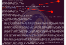 Cómo actualizar Ubuntu 22.04 a 24.04 LTS: la guía completa
