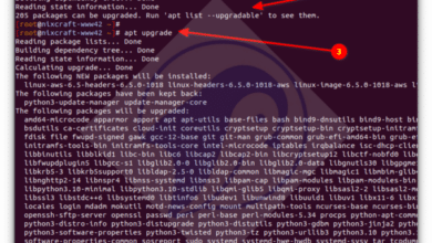 Cómo actualizar Ubuntu 22.04 a 24.04 LTS: la guía completa