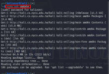 Cómo instalar el escritorio KDE Plasma en Kali Linux