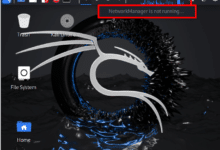 Reparar "NetworkManager no se está ejecutando" en Kali Linux