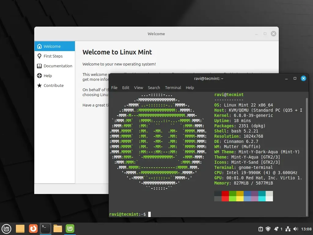 Linux menta 22