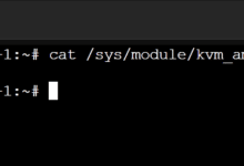 Cómo habilitar la virtualización anidada en la máquina virtual (VM) Proxmox VE 8