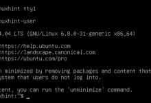 Cómo instalar GUI en el servidor Ubuntu 24.04