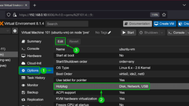 Cómo pasar un dispositivo USB a una máquina virtual (VM) Proxmox VE 8