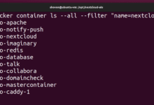 Cómo restablecer/desinstalar completamente NextCloud AIO