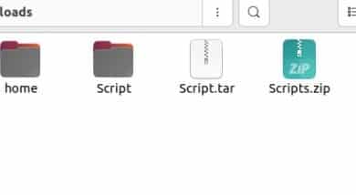 Descargar directorio en el administrador de archivos