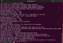 Cómo instalar QEMU Guest Agent en la máquina virtual Proxmox VE Linux