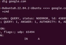 Consulta básica de DNS con comando dig