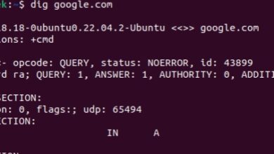 Consulta básica de DNS con comando dig