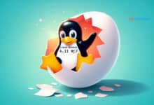 Lanzamiento del kernel de Linux 6.11 RC7: correcciones y cambios de un vistazo