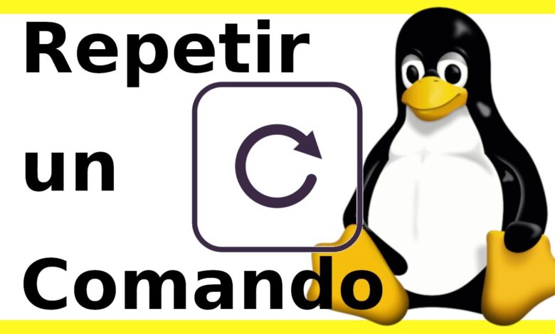 Linux 🐧 Repite las instrucciones indefinidamente... hasta que funcione 🐧🔳 [Comandos Linux]