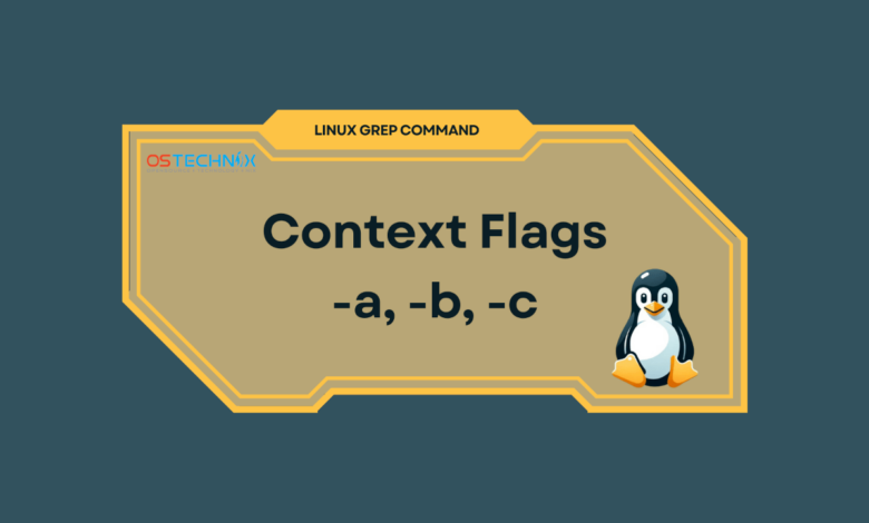Cómo utilizar el comando Grep de Linux con indicadores de contexto
