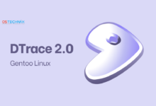 DTrace 2.0 inicia sesión en Gentoo Linux