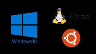 Instale Linux Terminal en su computadora con Windows 10/11... ¡pasos sencillos!