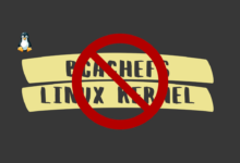 El desarrollador de Bcachefs, Kent Overstreet, excluido del desarrollo central de Linux