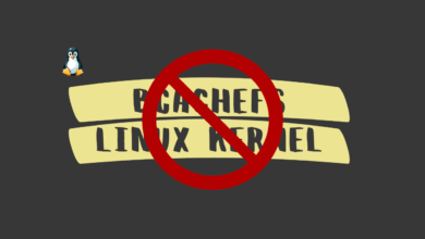 El desarrollador de Bcachefs, Kent Overstreet, excluido del desarrollo central de Linux