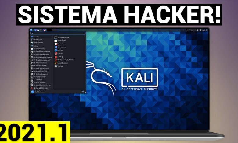 [NUEVO] KALI LINUX 2021.1 - Instalación y actualizaciones en VirtualBox y VMware