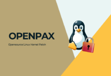 OpenPaX: nuevo parche de código abierto para mejorar la seguridad de Linux