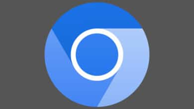 Google y la Fundación Linux se unen para "soportar navegadores basados ​​en Chromium"