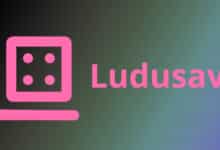 La herramienta de copia de seguridad de datos guardados del juego Ludusavi v0.28 ofrece nuevas funciones