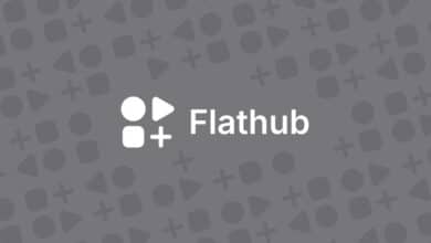 Flathub agrega que nos encantan los juegos en las secciones GO, así como los detalles sobre lo que sucederá a continuación para su infraestructura
