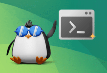 Los 7 terminales de Linux en el futuro