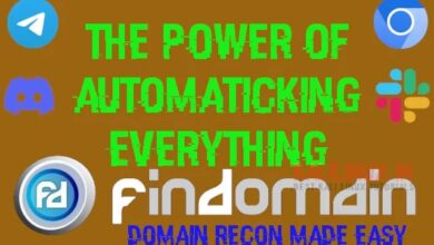 Findomain dominio toda la información