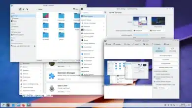 KDE Gear 24.12.2 mejora los delfines, itinerarios, tokodon y muchas otras aplicaciones KDE